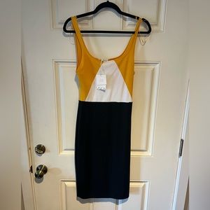Zara NWT dress